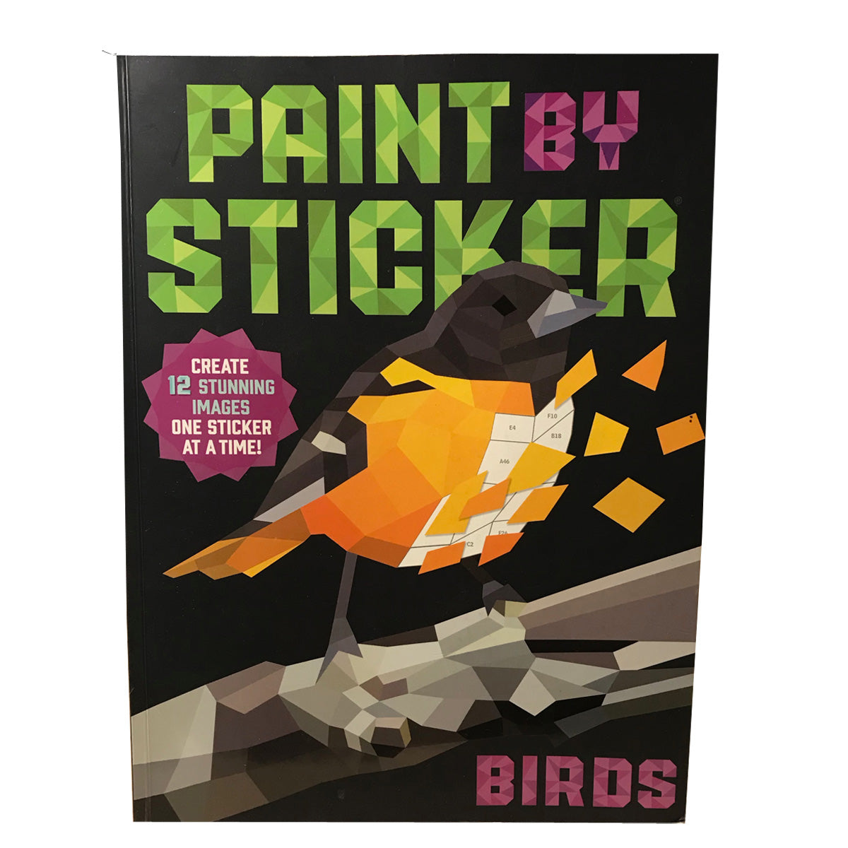 Paint by Sticker Book